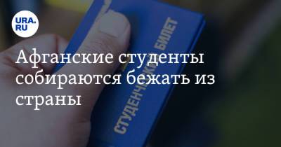 Афганские студенты собираются бежать из страны - ura.news - Россия - Афганистан