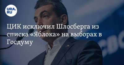 Антон Лопатин - ЦИК исключил Шлосберга из списка «Яблока» на выборах в Госдуму - ura.news