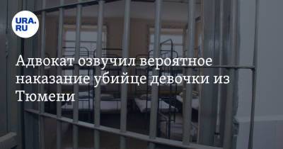 Адвокат озвучил вероятное наказание убийце девочки из Тюмени - ura.news - Россия - Тюмень