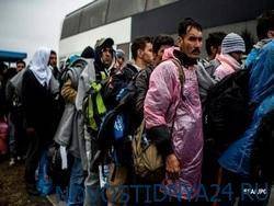 ЕСПЧ обязал Польшу и Латвию накормить и одеть застрявших на границе с РБ мигрантов - novostidnya24.ru - Белоруссия - Польша - Литва - Афганистан - Латвия