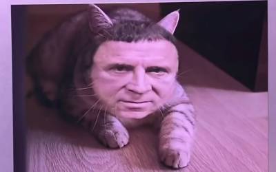 Кот-экстрасенс: Кашпировский проиграл суд программе «Вечерний Ургант» (видео) - sharij.net - Благовещенск