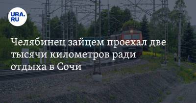 Челябинец зайцем проехал две тысячи километров ради отдыха в Сочи - ura.news - Сочи - Челябинская обл. - Уральск - Магнитогорск