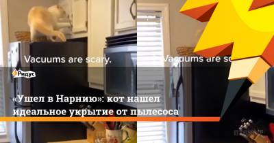 «Ушел в Нарнию»: кот нашел идеальное укрытие от пылесоса - ridus.ru
