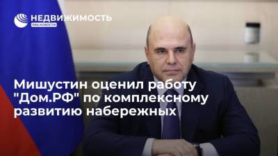 Виталий Мутко - Михаил Мишустин - Мишустин оценил работу "Дом.РФ" по комплексному развитию набережных - realty.ria.ru - Москва - Россия - Нижний Новгород - Нижний Новгород - Благоустройство