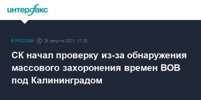 СК начал проверку из-за обнаружения массового захоронения времен ВОВ под Калининградом - interfax.ru - Москва - Калининград - Калининградская обл.