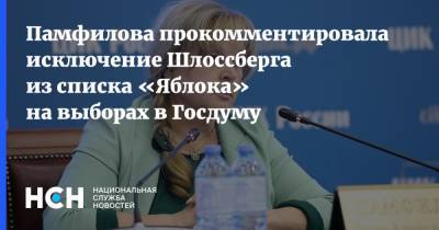 Элла Памфилова - Памфилова прокомментировала исключение Шлоссберга из списка «Яблока» на выборах в Госдуму - nsn.fm - Россия