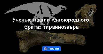 Ученые нашли «двоюродного брата» тираннозавра - news.mail.ru