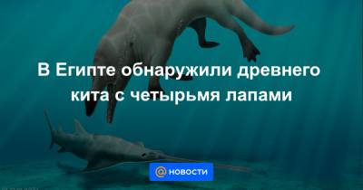 В Египте обнаружили древнего кита с четырьмя лапами - news.mail.ru - Египет