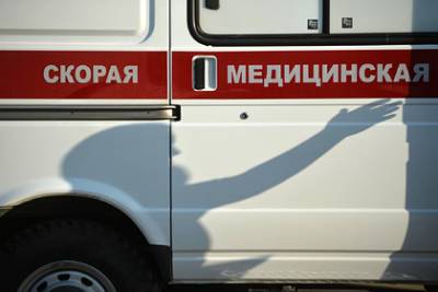 Трехлетний россиянин погиб под косилкой убиравшего траву трактора - lenta.ru - Московская обл. - Новосибирская обл.