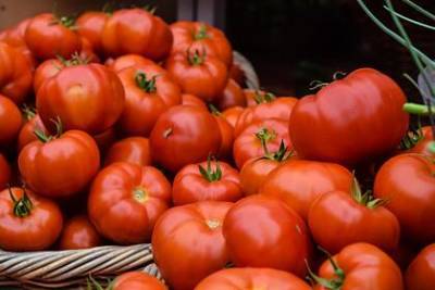 Наталья Круглова - Российский диетолог назвала продукты «осеннего рациона» - lenta.ru - Москва - Россия