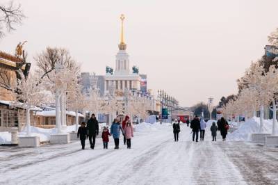 Яков Миркин - Экономист объяснил, почему в России невозможна цветная революция - infox.ru - Россия