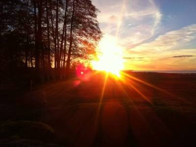 Израильские ученые открыли необычный эффект солнечного света - rosbalt.ru
