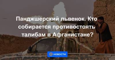 Панджшерский львенок. Кто собирается противостоять талибам в Афганистане? - news.mail.ru - Россия - Афганистан