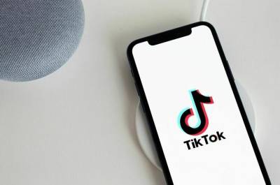 Александр Хинштейн - Google и TikTok хотят не только «приземлить», но и «заземлить» - pnp.ru - Россия
