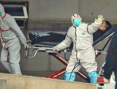 В России обновлен максимум летальных исходов COVID-19 за сутки - newsland.com - Россия