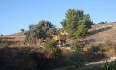 В парке Ризоэлия проложат новую дорогу - vkcyprus.com - Кипр
