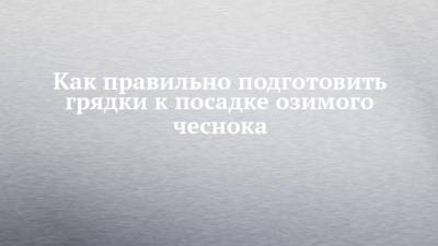 Как правильно подготовить грядки к посадке озимого чеснока - chelny-izvest.ru