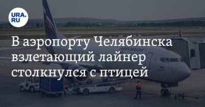 В аэропорту Челябинска взлетающий лайнер столкнулся с птицей - ura.news - Москва - Новосибирск - Челябинск - Уральск