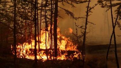 В Башкирии за сутки ликвидировали семь очагов природных пожаров - russian.rt.com - Башкирия - респ. Саха - район Белорецкий