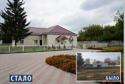 Татьяна Голикова - Александр Богомаз - На Брянщине за три года купили медикам 251 квартиру - mk.ru - Брянская обл.