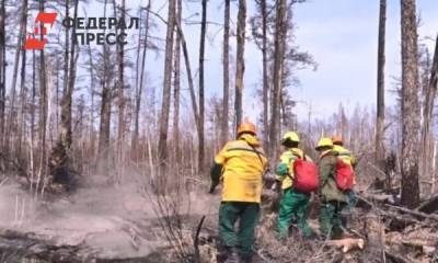 В тюменских лесах догорают 16 пожаров - fedpress.ru - Тюмень - Тюменская обл.