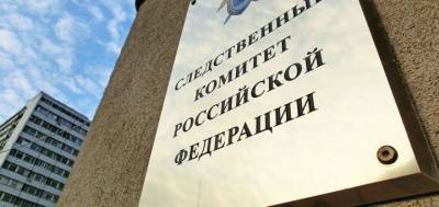 В СК РФ бабушке сахалинской девочки-инвалида с декабря отвечают "ждите" - sakhalin.info - Россия