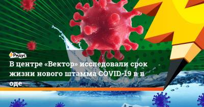 Вцентре «Вектор» исследовали срок жизни нового штамма COVID-19 вводе - ridus.ru - Россия