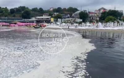Море в Одессе покрылось странными белыми пятнами - korrespondent.net - Украина - Одесса - Бердянск