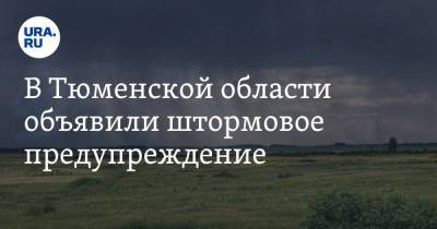 В Тюменской области объявили штормовое предупреждение - ura.news - Тюменская обл.