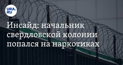 Инсайд: начальник свердловской колонии попался на наркотиках - ura.news - Свердловская обл.
