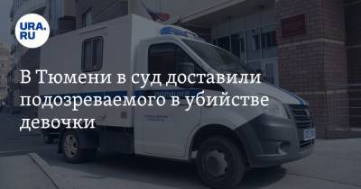 Виталий Бережной - В Тюмени в суд доставили подозреваемого в убийстве девочки. Видео - ura.news - Тюмень