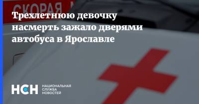 Трехлетнюю девочку насмерть зажало дверями автобуса в Ярославле - nsn.fm - Ярославская обл. - Ярославль