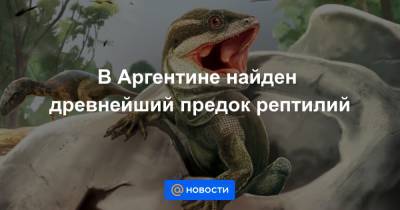 В Аргентине найден древнейший предок рептилий - news.mail.ru - Аргентина