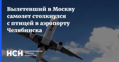 Вылетевший в Москву самолет столкнулся с птицей в аэропорту Челябинска - nsn.fm - Москва - Новосибирск - Челябинск - Уральск