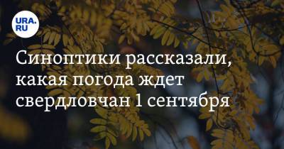 Евгений Тишковец - Синоптики рассказали, какая погода ждет свердловчан 1 сентября - ura.news - Екатеринбург - Свердловская обл.