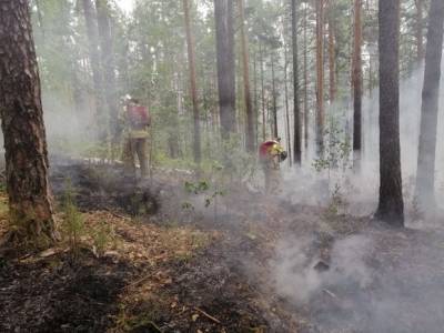 В Башкирии лесные пожары охватили 1,6 га - rosbalt.ru - Россия - Башкирия - район Учалинский
