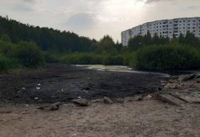 В Перми из-за жары полностью высохло Утиное болото - argumenti.ru - Россия - Пермь - Экология