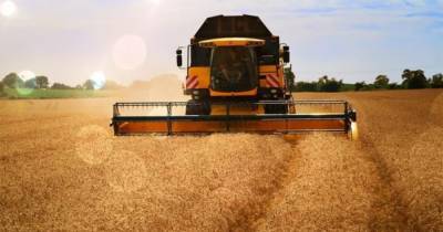 Украина в 2021 году впервые соберет больший урожай пшеницы и ячменя, чем в УССР - focus.ua - Украина