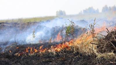 На Южном Урале продолжают тушить лесные пожары под Пластом, Кыштымом и Челябинском - znak.com - Россия - Челябинская обл. - Челябинск