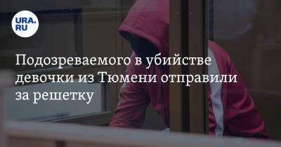 Подозреваемого в убийстве девочки из Тюмени отправили за решетку - ura.news - Тюмень - Сургут - Югра