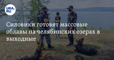 Виталий Безруков - Силовики готовят массовые облавы на челябинских озерах в выходные - ura.news - Челябинская обл. - Экология