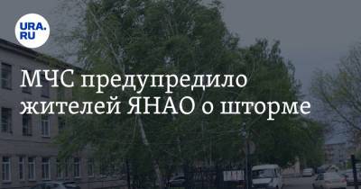 МЧС предупредило жителей ЯНАО о шторме - ura.news - Россия - окр. Янао