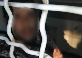 На Херсонщине мужчина угрожал взорвать гранату в автобусе, потому что хотел покурить - rupor.info - Днепропетровская обл. - Херсонская обл. - Берислав