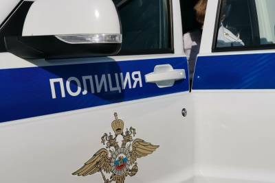 В Ефремове полицейские установили похитителей автомобилей - tula.mk.ru - Россия - Тульская обл.