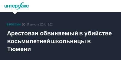 Арестован обвиняемый в убийстве восьмилетней школьницы в Тюмени - interfax.ru - Москва - Тюмень
