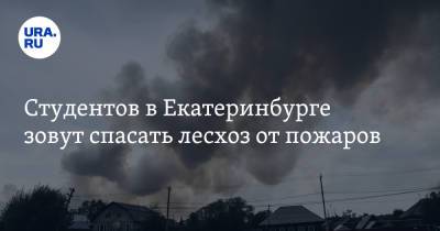 Студентов в Екатеринбурге зовут спасать лесхоз от пожаров. Обещают еду и деньги - ura.news - Екатеринбург - Уральск