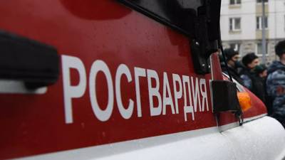 Владимир Путин - Валерий Грибакин - Росгвардия обеспечивает безопасность трёх четвертей российских школ - russian.rt.com - Россия