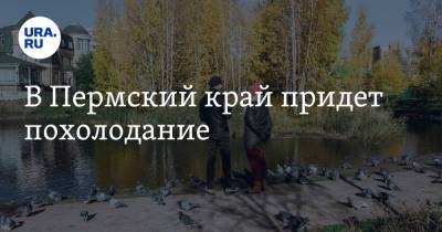 В Пермский край придет похолодание - ura.news - Пермь - Пермский край