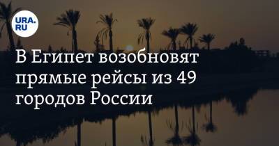 В Египет возобновят прямые рейсы из 49 городов России - ura.news - Москва - Россия - Южная Корея - Египет - Чехия - с. Также
