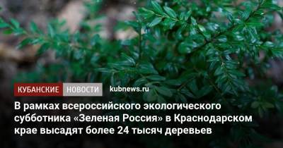 В рамках всероссийского экологического субботника «Зеленая Россия» в Краснодарском крае высадят более 24 тысяч деревьев - kubnews.ru - Россия - Краснодарский край - Экология